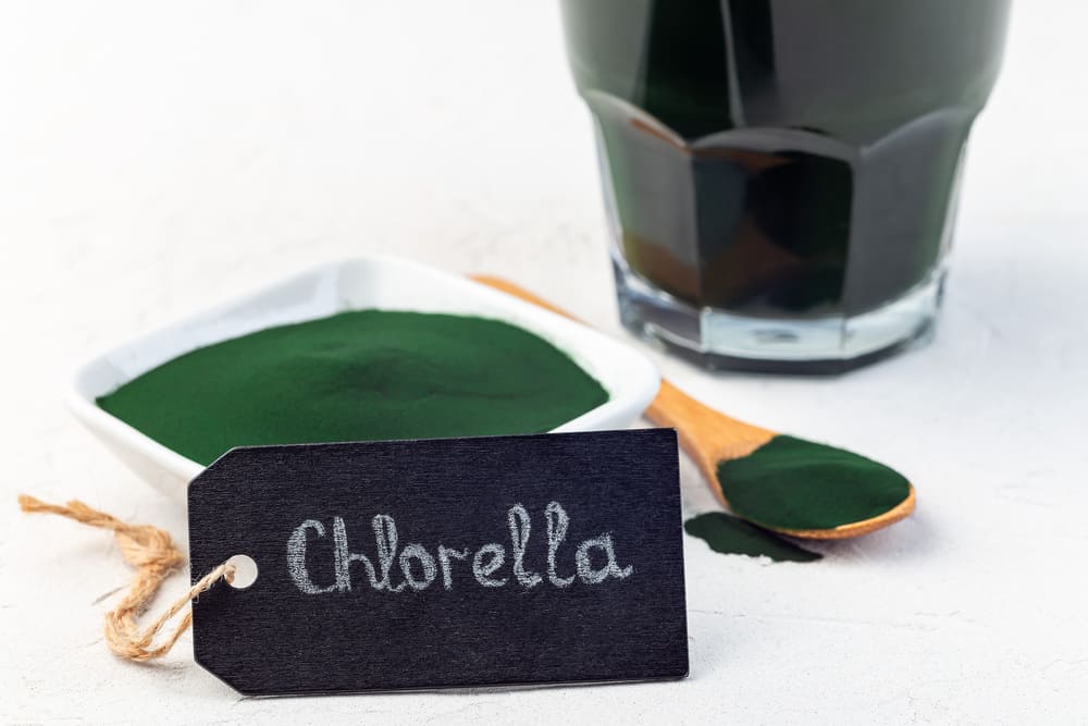 Chlorella